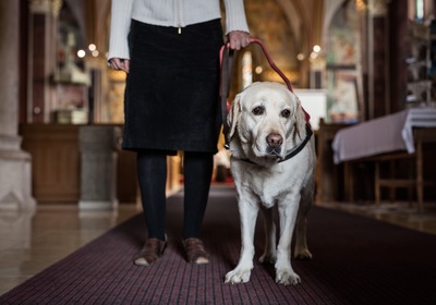 Service Animals at Church: Keeping Everyone Safe