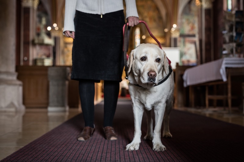 Service Animals at Church: Keeping Everyone Safe